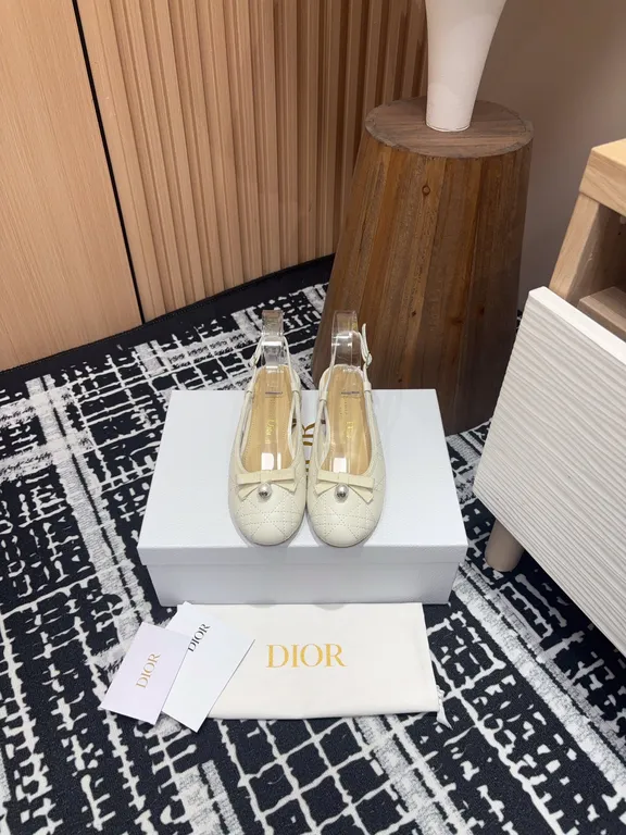 Dior Shoe 